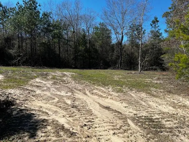 Lot #4 Jessie Stogner Road, Sandy Hook, MS 39667 - Image #1