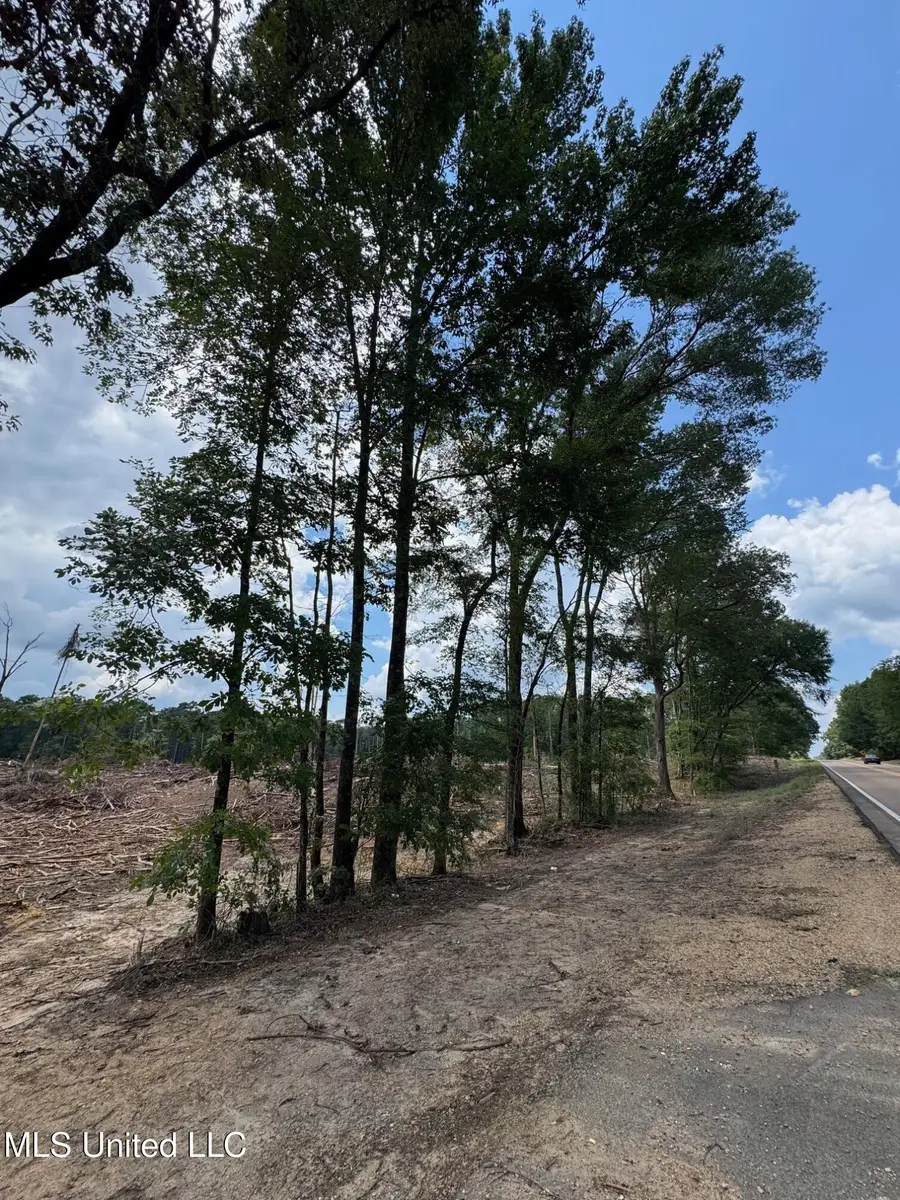 2 Hwy 24, Liberty, MS 39645 - #2
