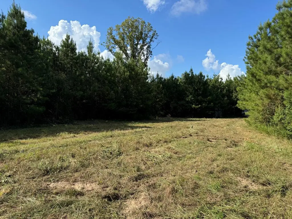 1365 Mickle Smith Trail, Bogue Chitto, MS 39629 - Image #1