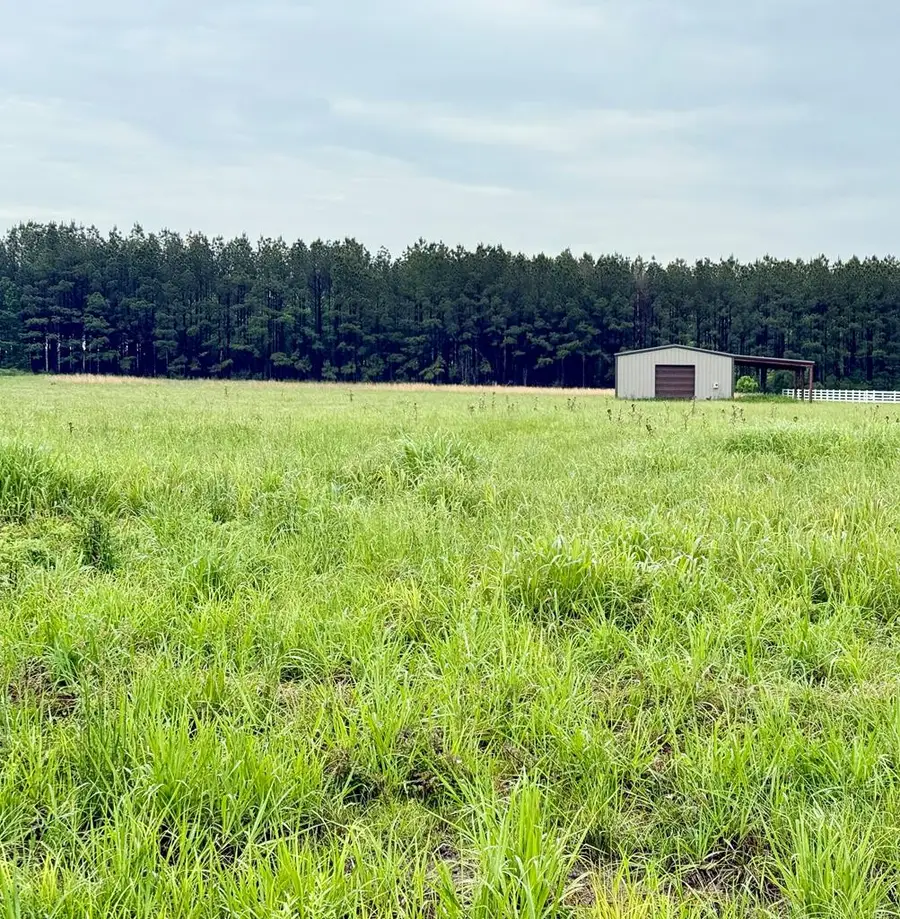 10776 Paesano Point, Saint Francisville, LA 70775 - Image #2