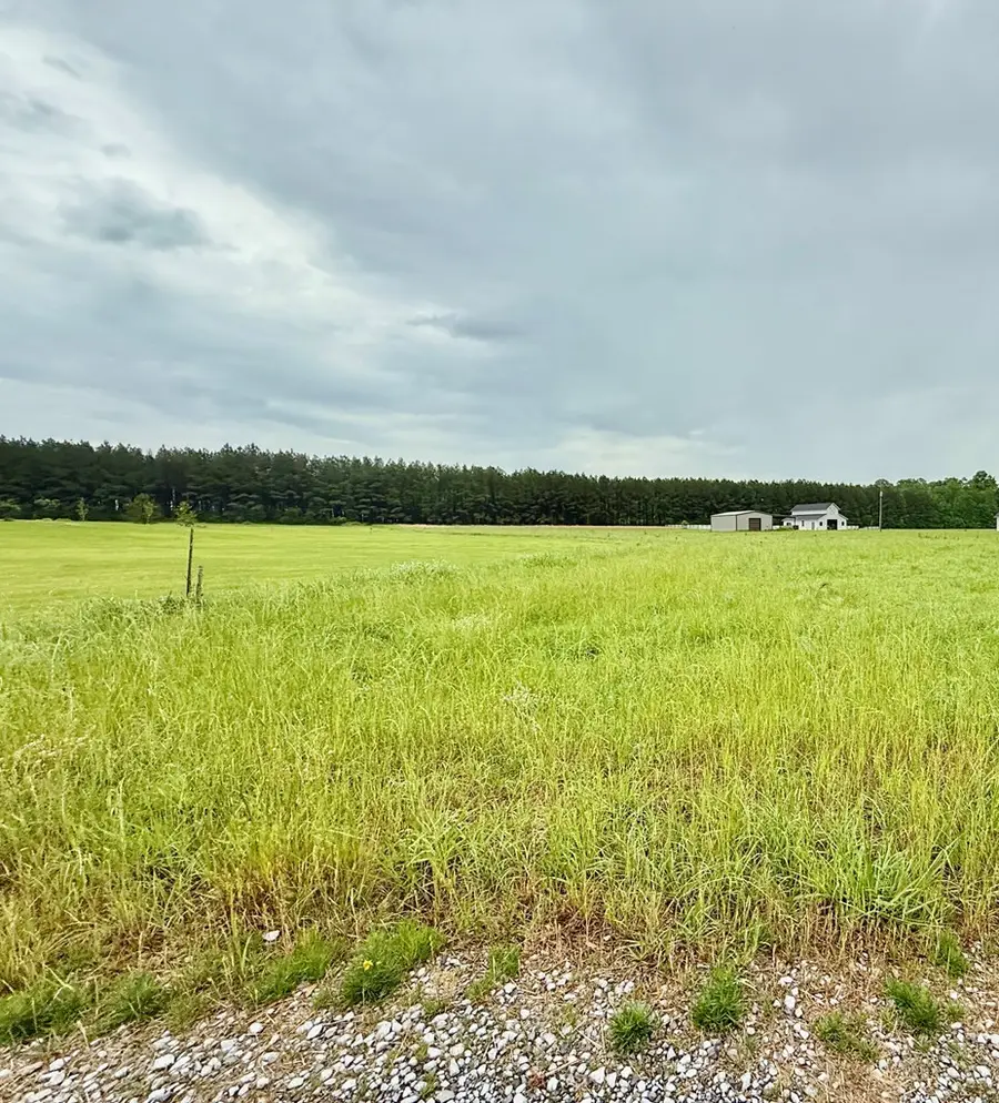 10776 Paesano Point, Saint Francisville, LA 70775 - Image #3