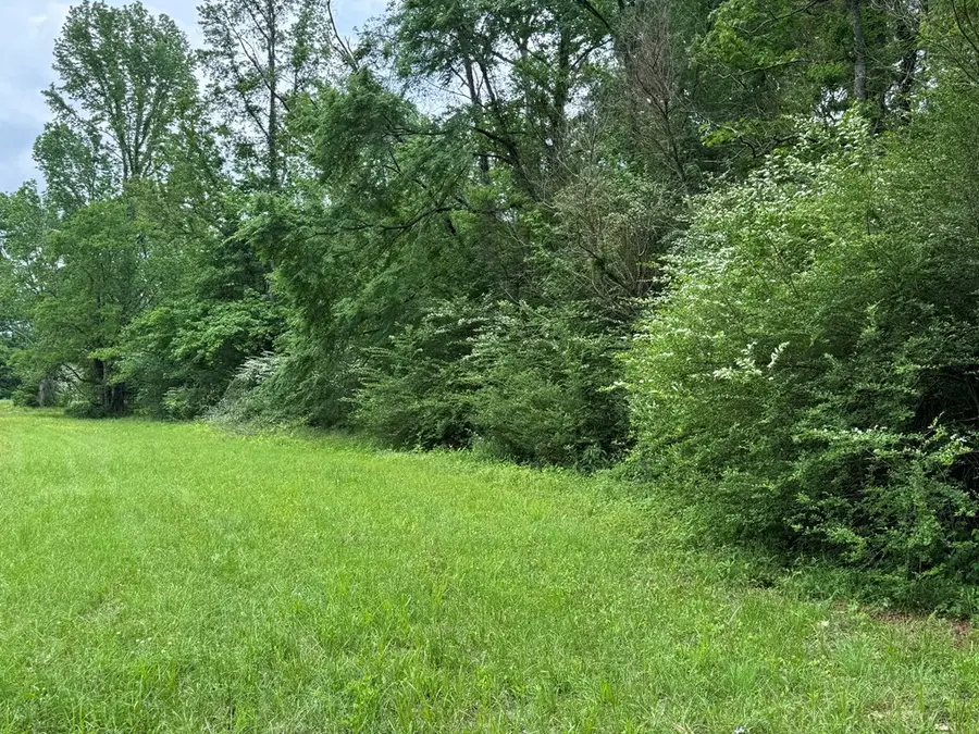 #3