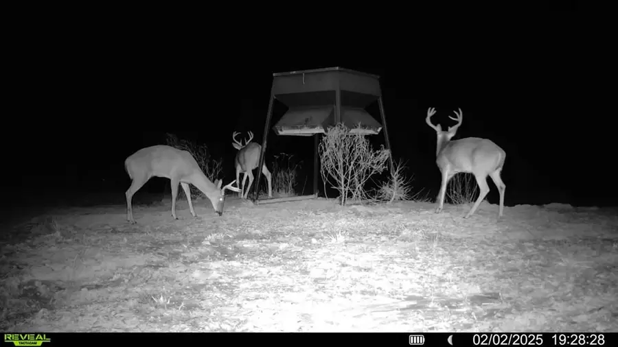 1 Cemetary Road, Harrisonburg, LA 71340 - Image #3