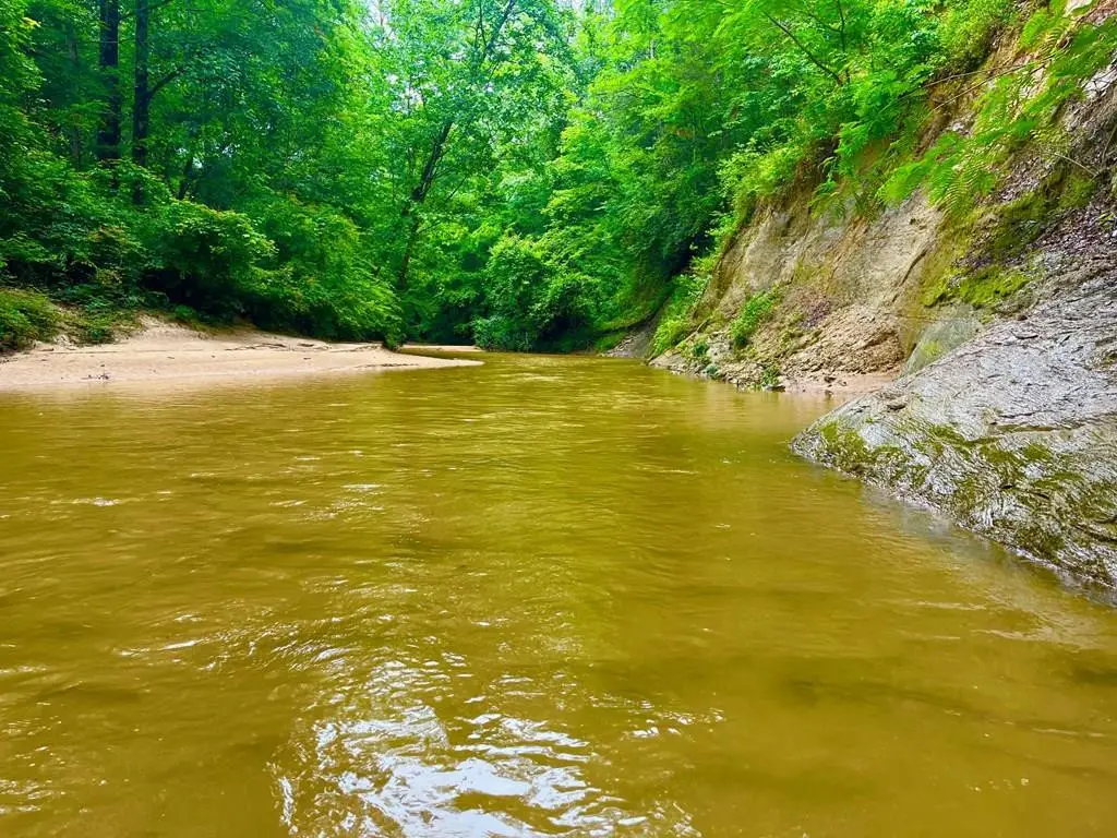 TBD Rockport New Hebron Road, Newhebron, MS 39140 - #1