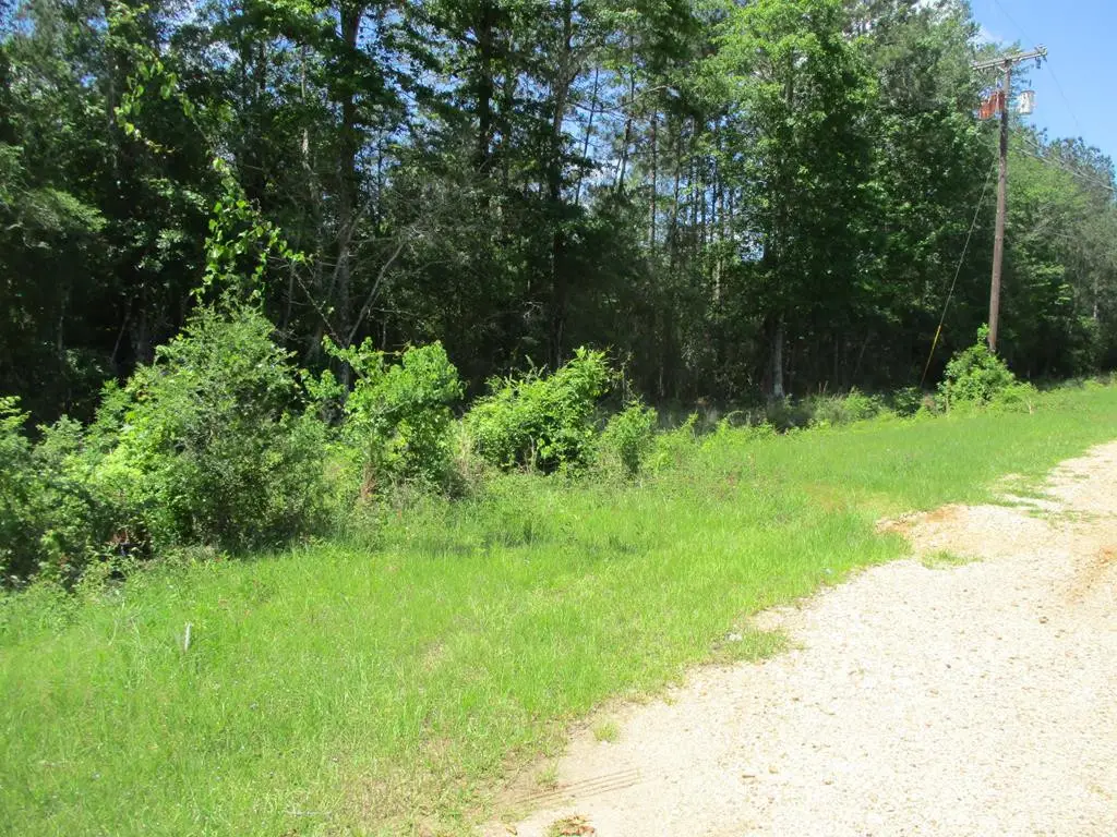 000 E 17th Street, Franklinton, LA 70438 - Image #1