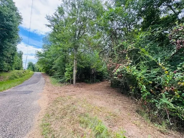 Tbd Carters Creek Road, Tylertown, MS 39667 - Image #3