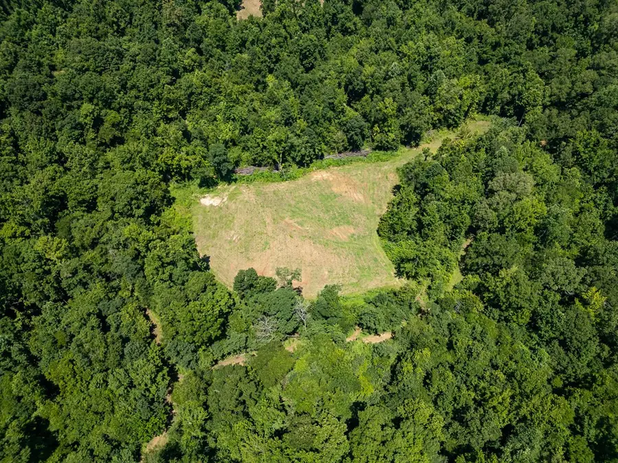 3169 Karnac Ferry Road, Port Gibson, MS 39150 - #3