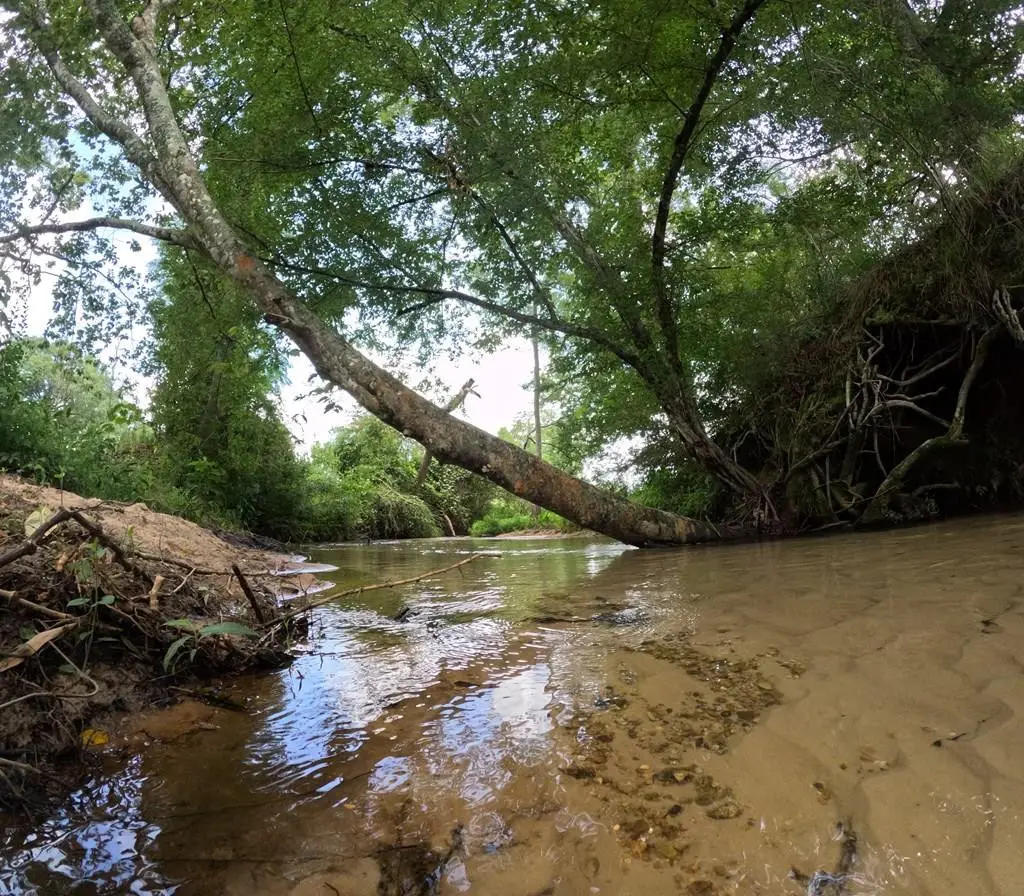 1608 Highway 586, Foxworth, MS 39483 - #1