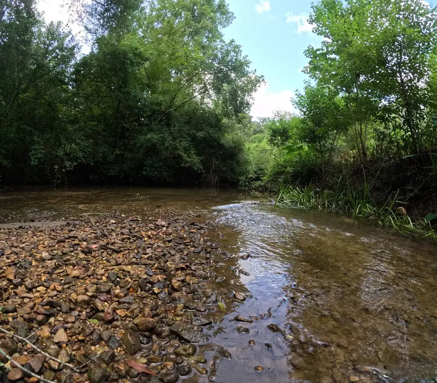 1608 Highway 586, Foxworth, MS 39483 - #3