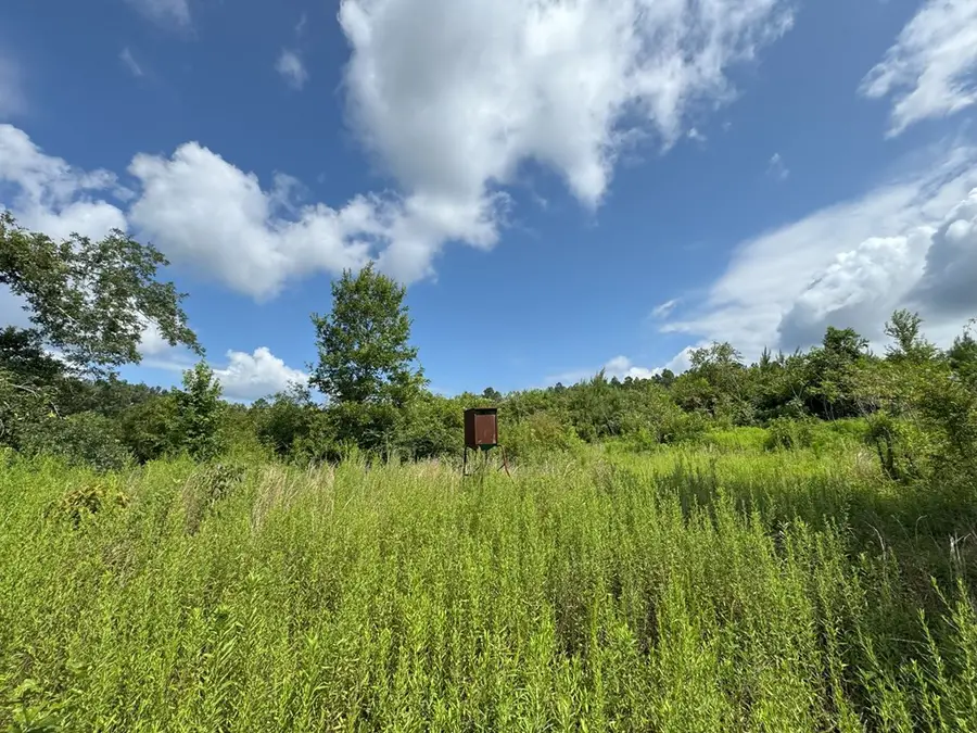 0 Off Hutson Morris Road, Columbia, MS 39429 - Image #3