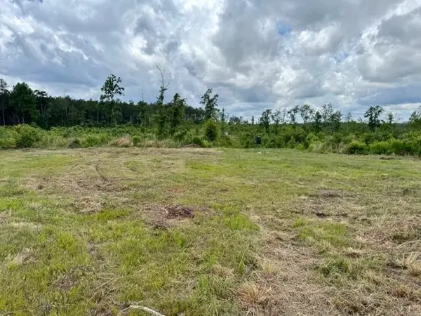 00 Dewitt Lane, , LA 70427