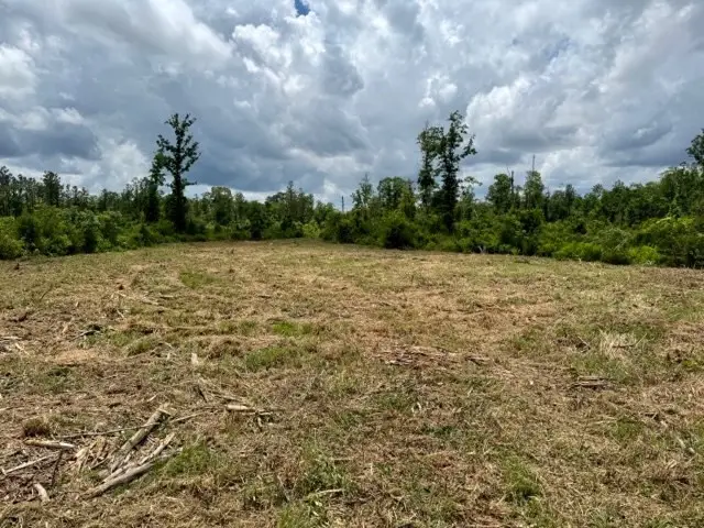 00 Dewitt Lane, Bogalusa, LA 70427 - #3
