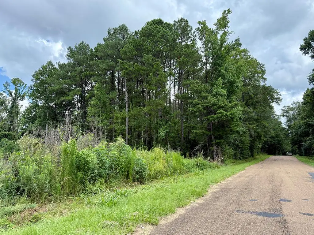 2194 Hwy 570 E, Summit, MS 39666 - #1