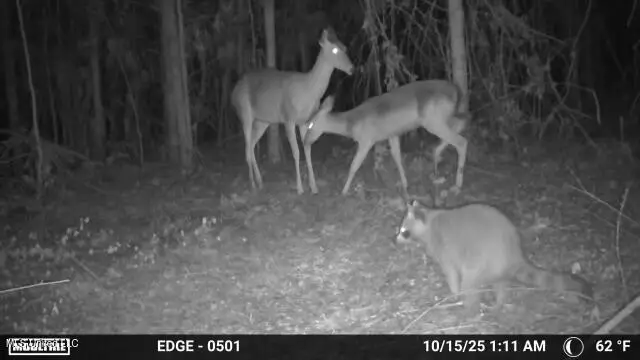 2194 Hwy 570 E, Summit, MS 39666 - #3