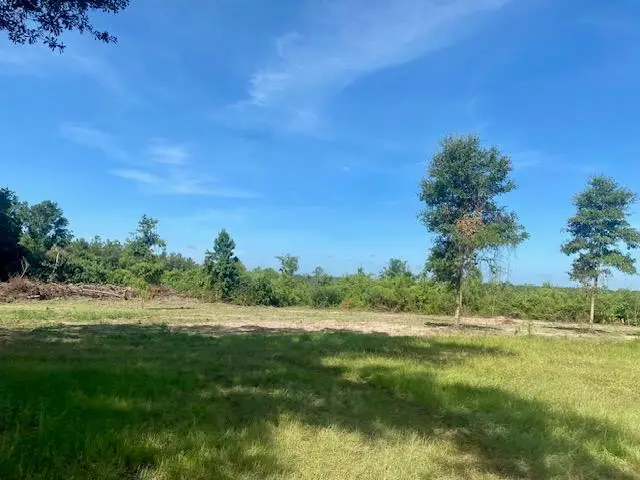 00 Dewitt Lane, Bogalusa, MS 70427 - #1