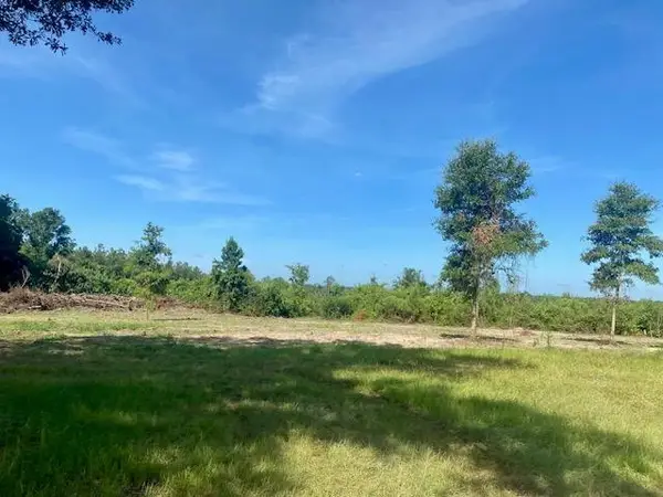 00 Dewitt Lane, , MS 70427