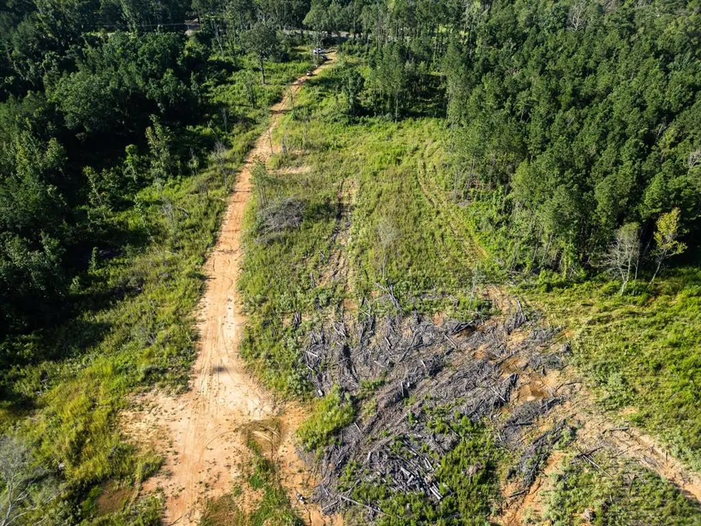 4698 Kahnville Road, Gloster, MS 39638 - Image #1