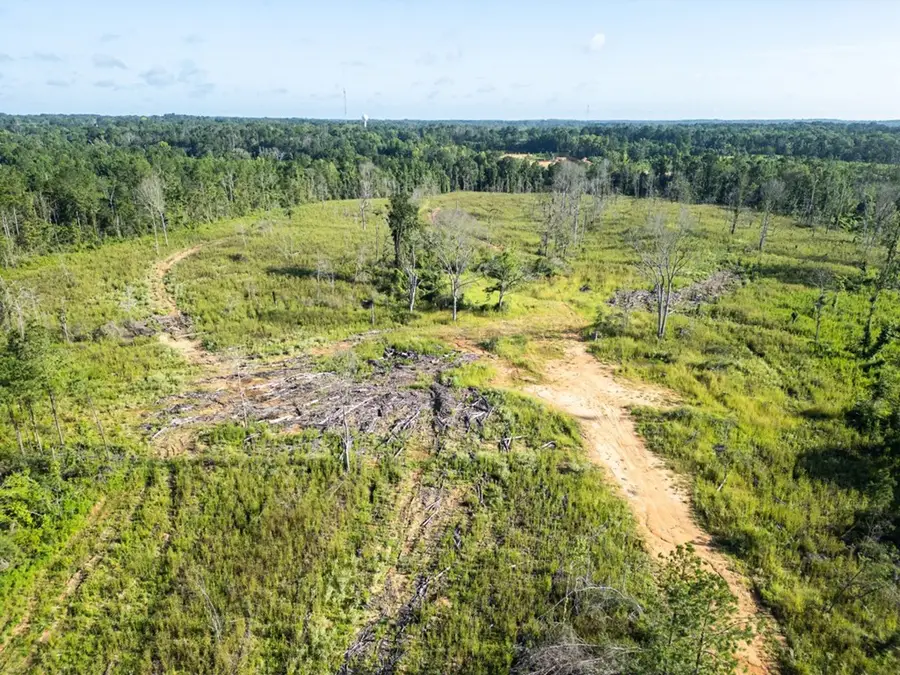 4698 Kahnville Road, Gloster, MS 39638 - Image #2