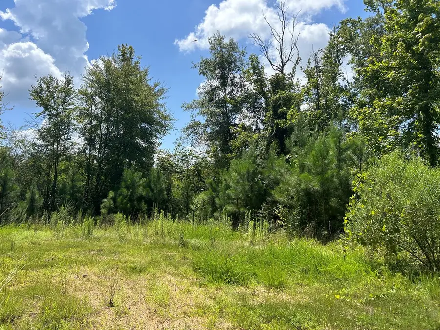 TBD Hwy 570/river Road N/ Shell Oil Road, Summit, MS 39666 - Image #3