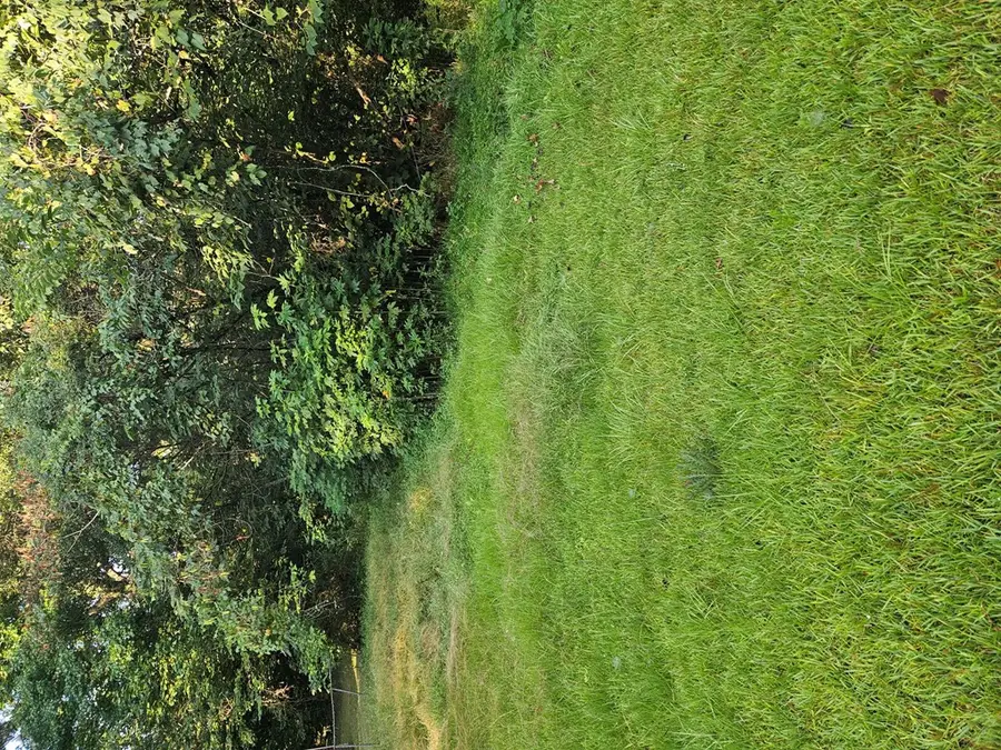 #3