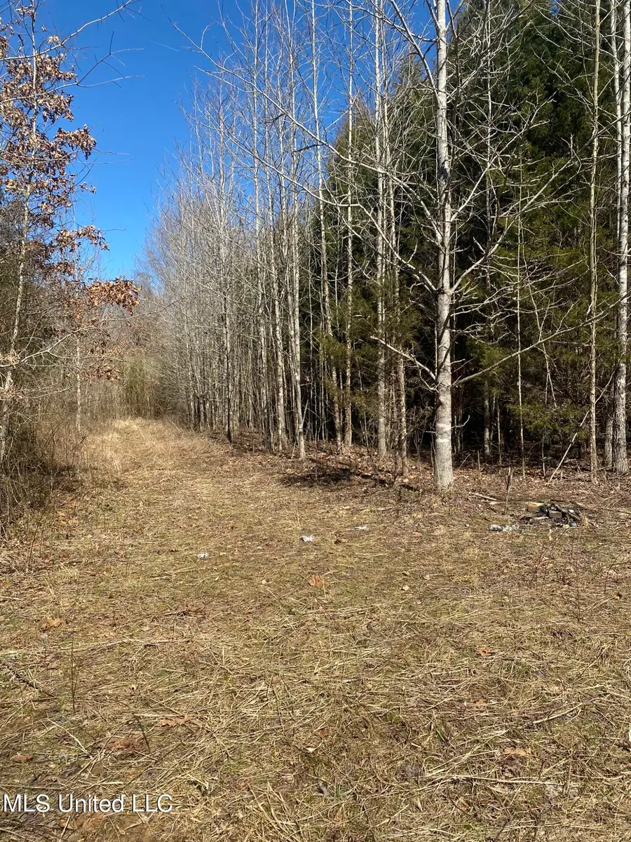 Co Rd 700, Ripley, MS 38663 - Image #3