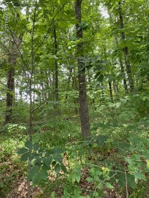 #1