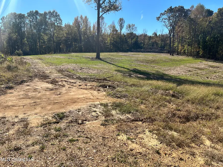 5163 S Hwy 51, Hernando, MS 38632 - Image #2