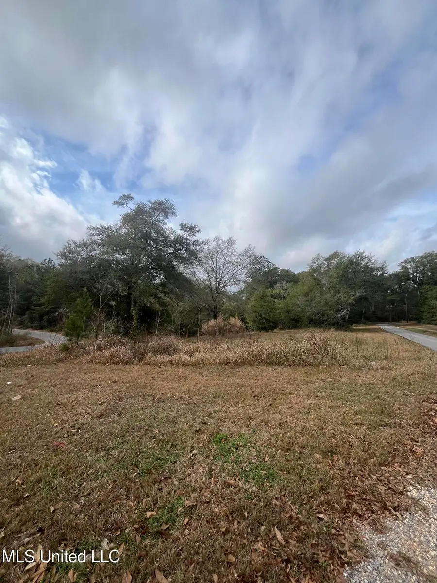 Tba Rolling Woods Drive, Lucedale, MS 39452 - Image #3
