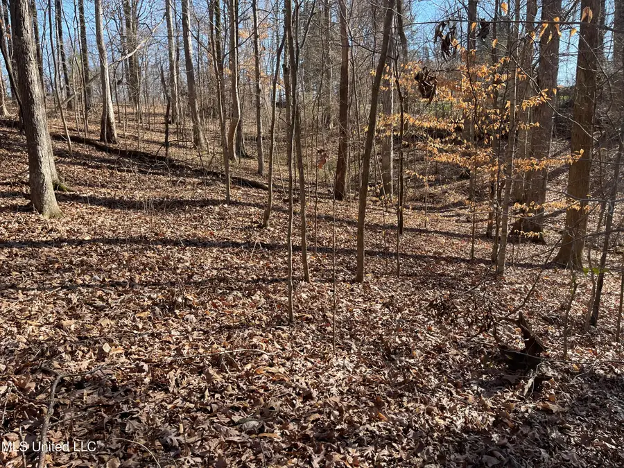 #2