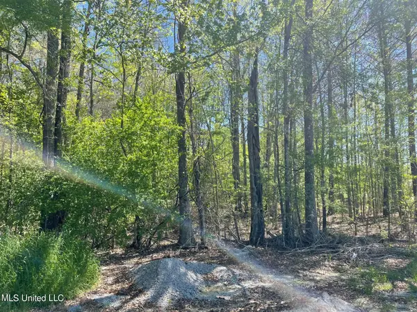 108 Holly Bush Road, Brandon, MS 39047