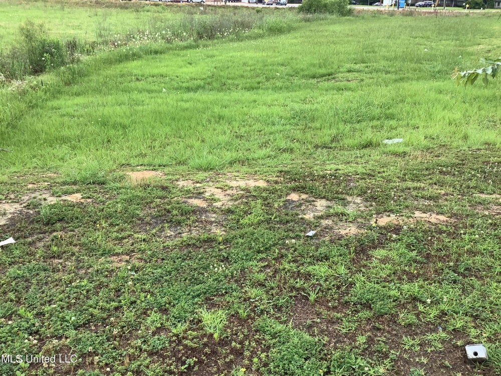 Hwy 471/vine, Brandon, MS 39047 BHGRE