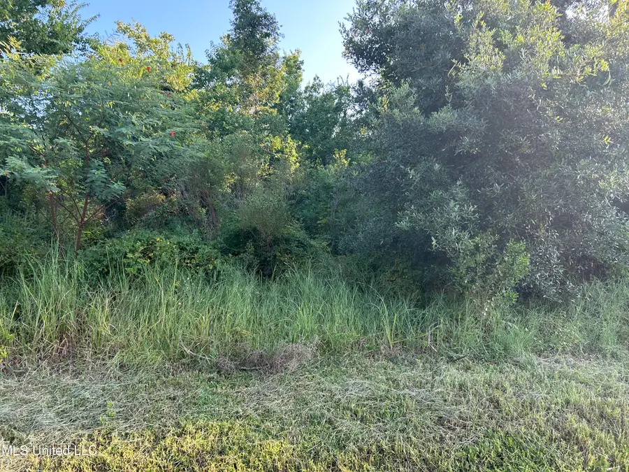 0 Jordan River Drive, Bay Saint Louis, MS 39520 - Image #2