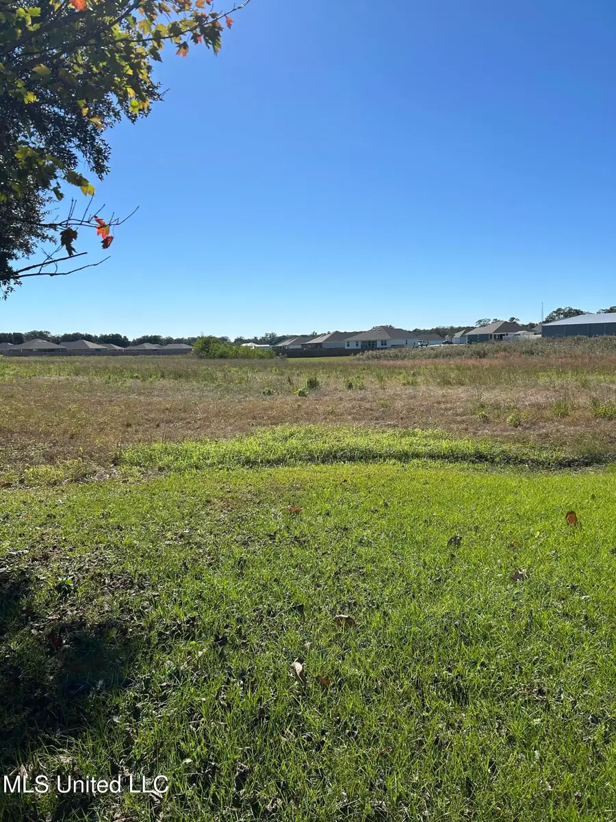 2.2 Acres Hwy 613, Lucedale, MS 39452 - #2