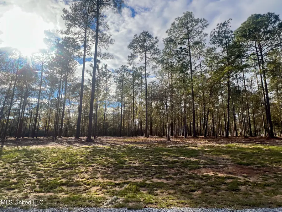 Lot 18 Pine Ridge Lane, Lucedale, MS 39452 - Image #3
