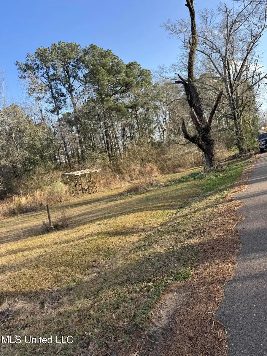 1739 Pettey Road, Forest, MS 39074 - #3