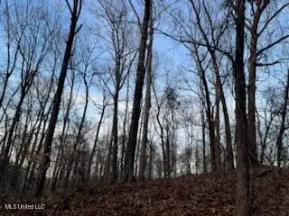 #3