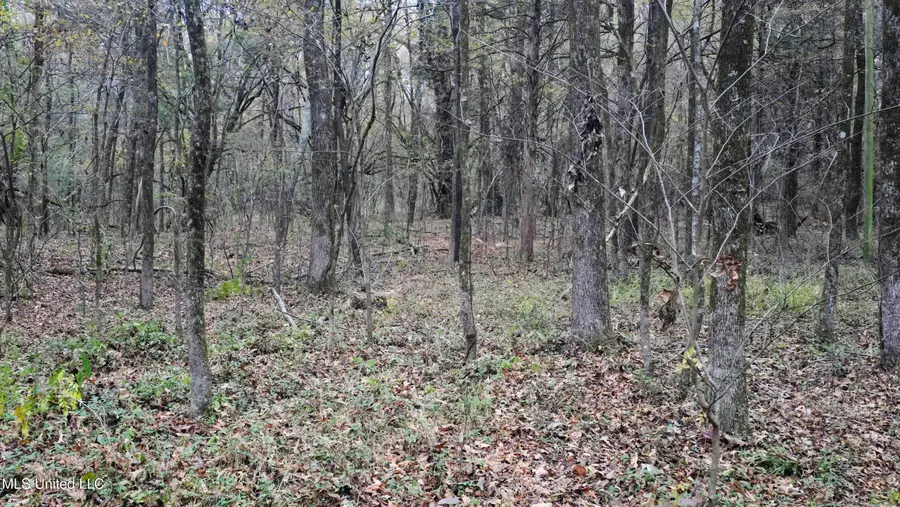 #3