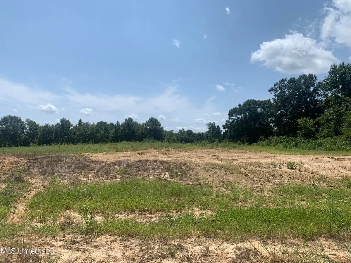 44 Deerwood Crossing Drive, Lake Cormorant, MS 38641 - #1