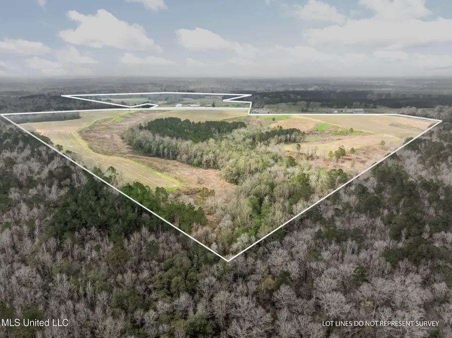 300 Acres +/- Hwy 532, Mount Olive, MS 39119 - #2