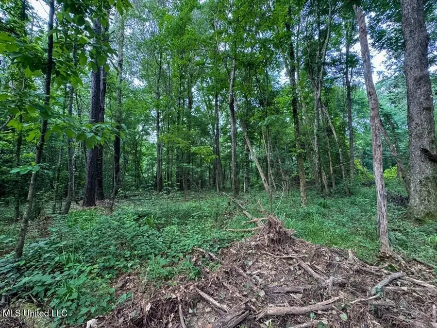 2 Old Hamburg Road, Roxie, MS 39661 - Image #2