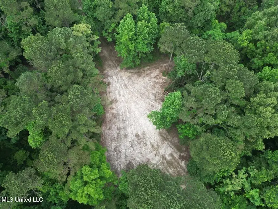 3 Old Hamburg Roxie Road, Roxie, MS 39661 - #3