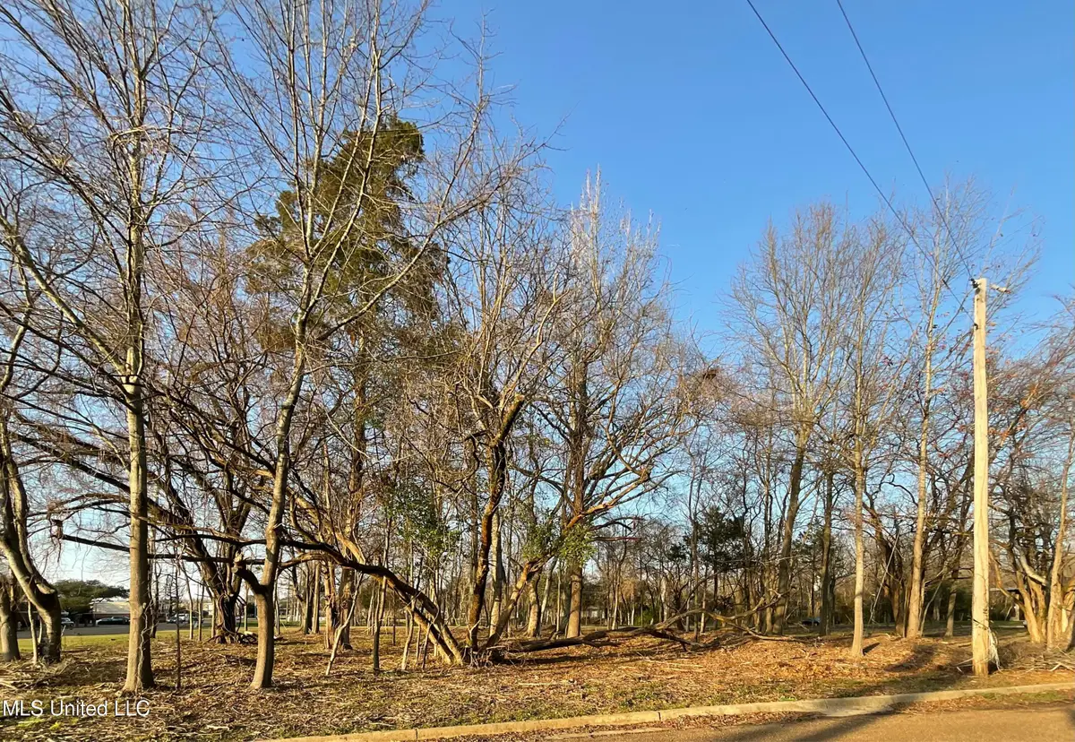 Old Canton Road, Jackson, MS 39211 - Image #1