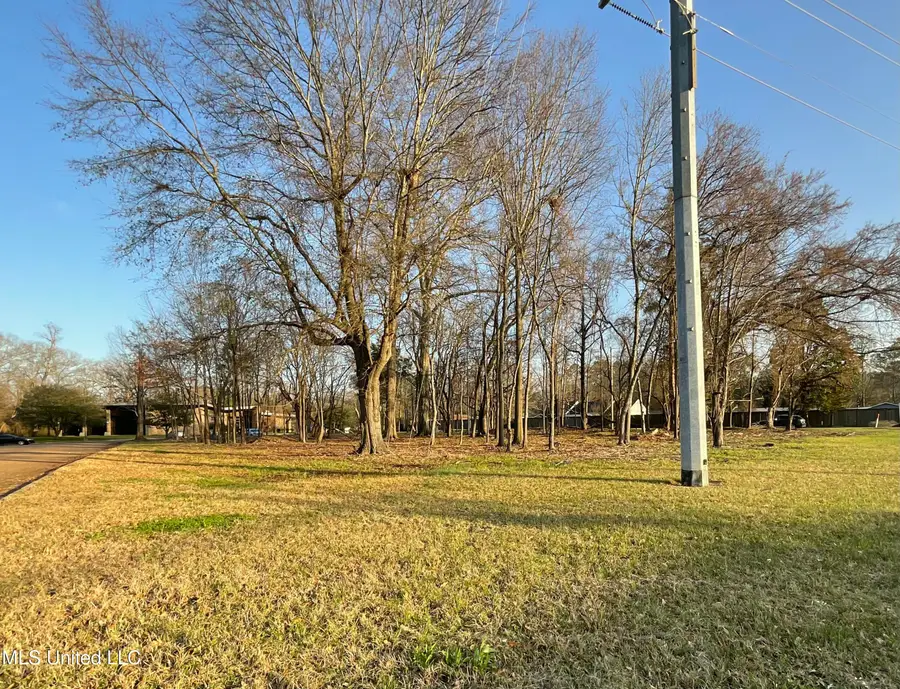 Old Canton Road, Jackson, MS 39211 - Image #2