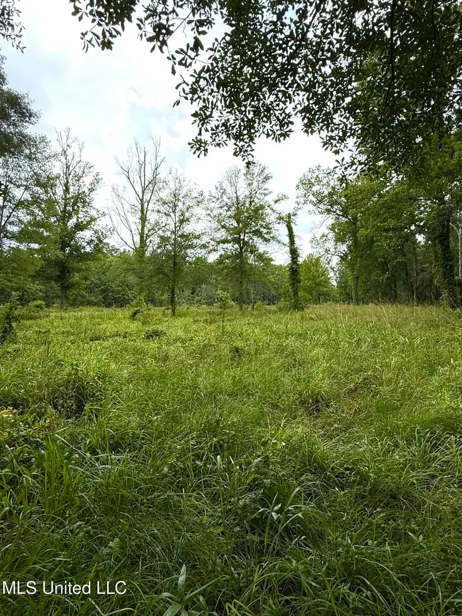 8724 Pettit Road, Baker, LA 70714 - Image #3