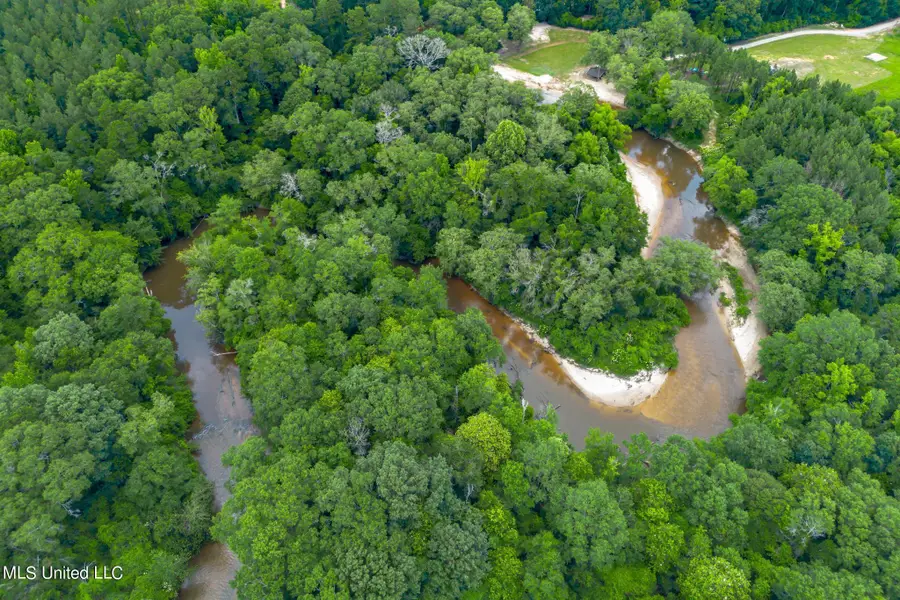 2710 Hwy 49 N, Collins, MS 39428 - #3