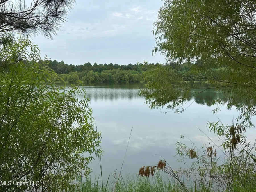 Canton Parkway, Canton, MS 39046 - Image #3