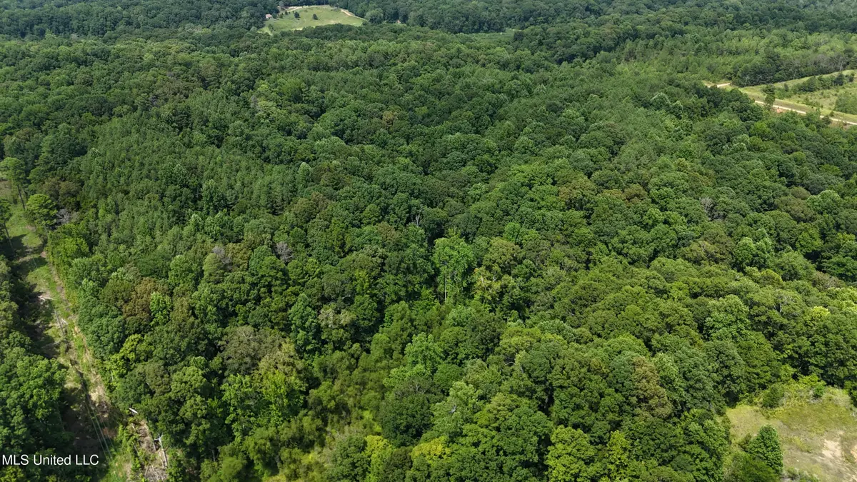 Pine Bluff Road, Cruger, MS 38924 - #1