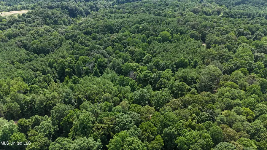 Pine Bluff Road, Cruger, MS 38924 - #3