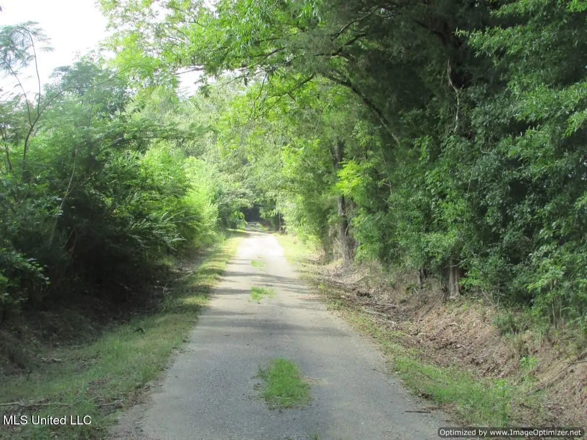 Smith Avenue Rd Road, Carthage, MS 39051 - #1