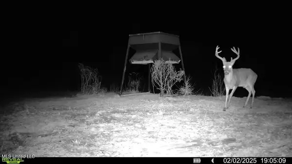 3 Cemetery Road, Harrisonburg, LA 71340